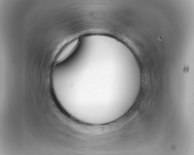 X0000090450015200708102059