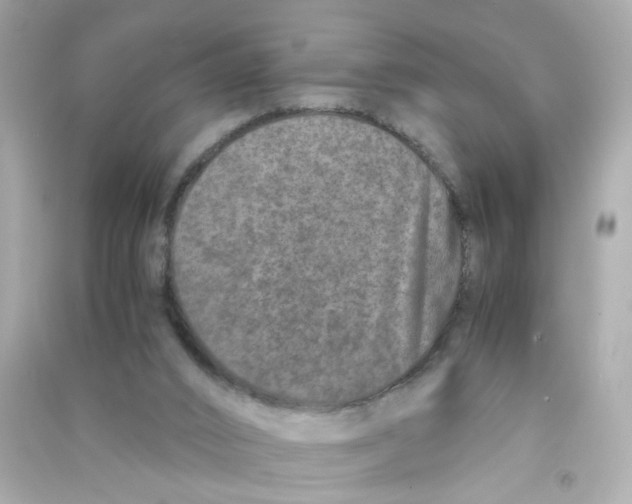 X0000090450016200708102059