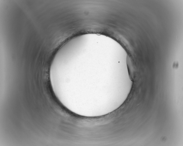 X0000090450017200708102059