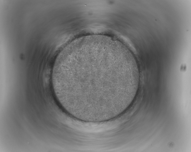 X0000090450018200708102059