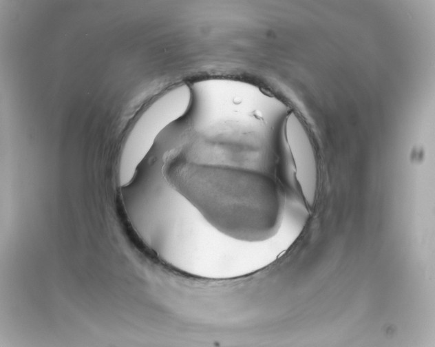 X0000090450019200708102059