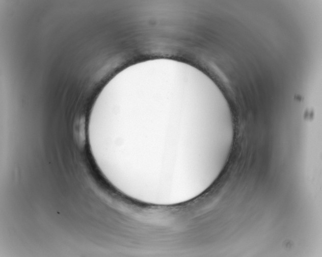 X0000090450020200708102059