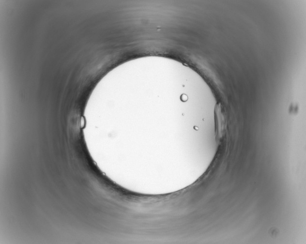 X0000090450021200708102059