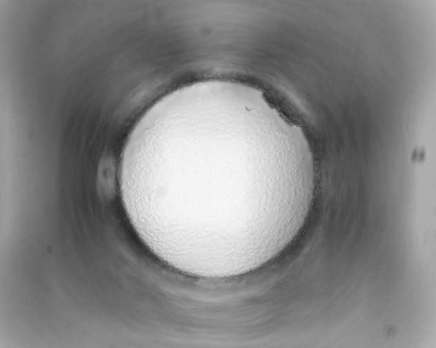 X0000090450022200708102059