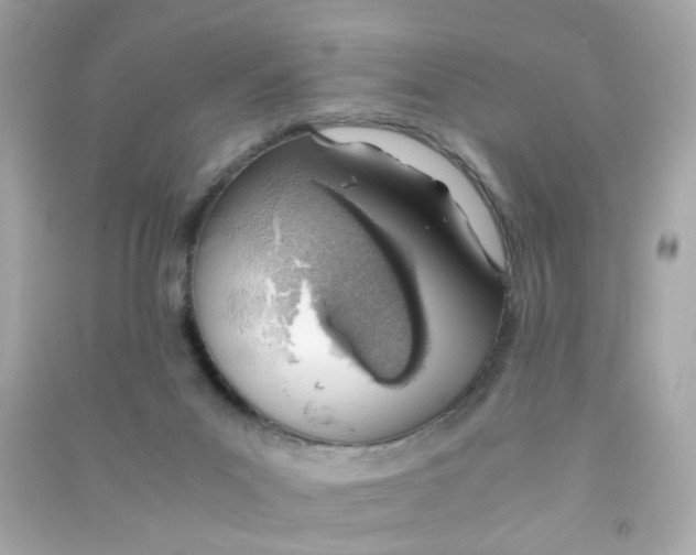 X0000090450023200708102059