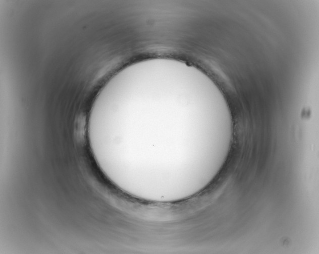 X0000090450024200708102059