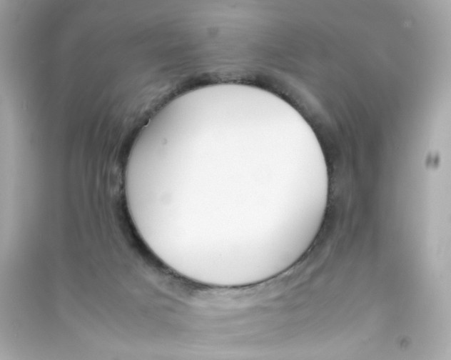 X0000090450025200708102059