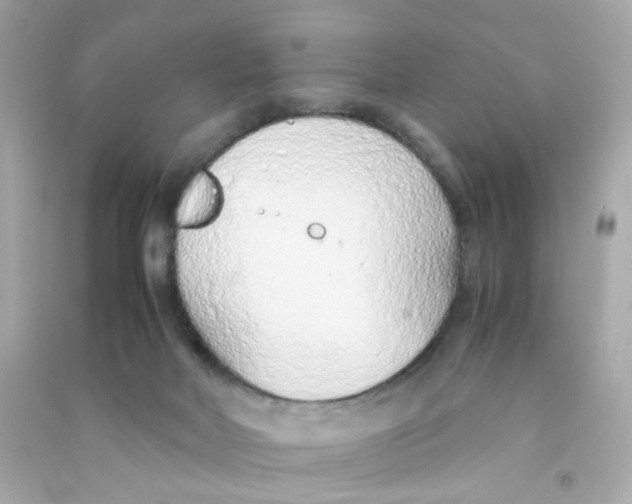 X0000090450026200708102059