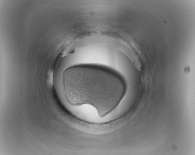 X0000090450027200708102059