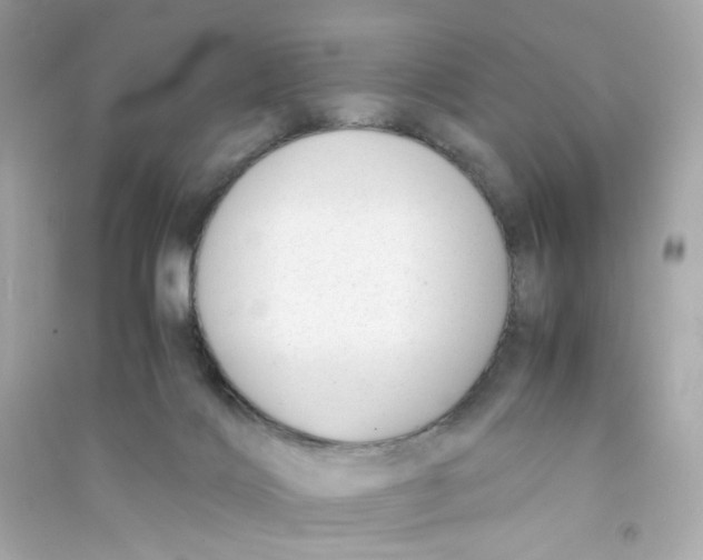 X0000090450028200708102059