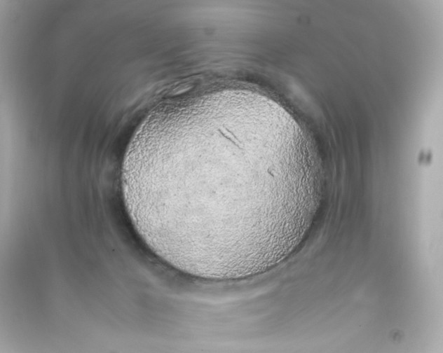 X0000090450029200708102059