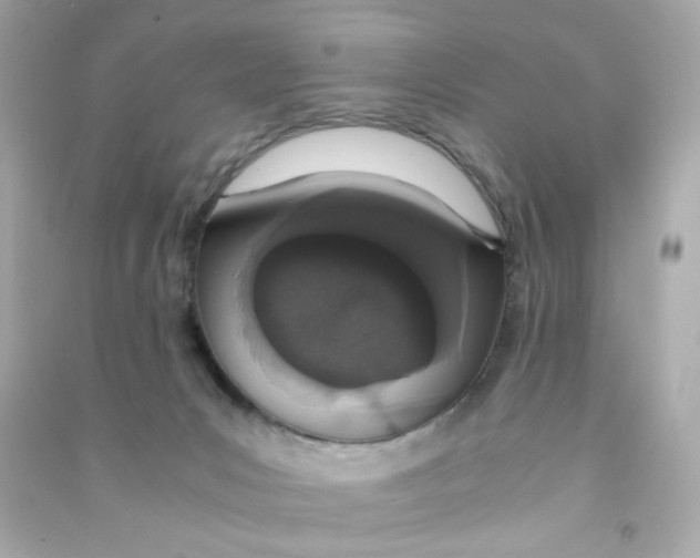 X0000090450031200708102059