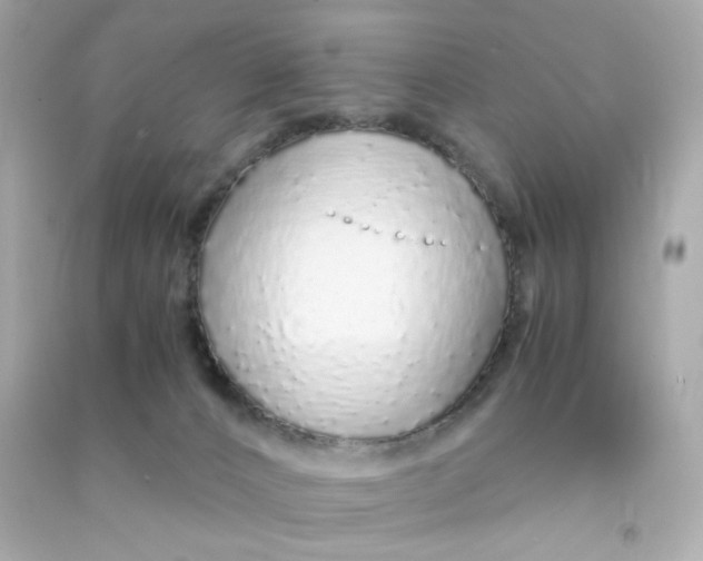 X0000090450032200708102059