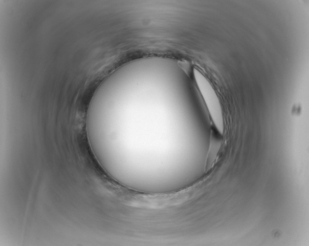 X0000090450033200708102059