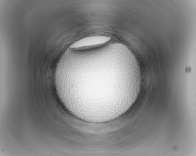 X0000090450034200708102059