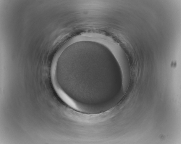 X0000090450035200708102059