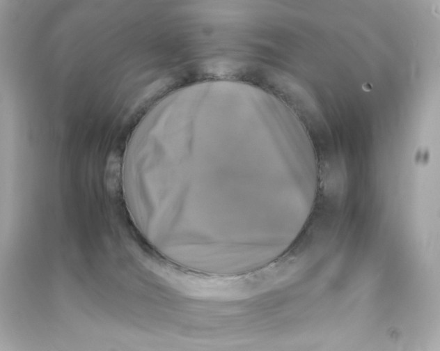 X0000090450036200708102059