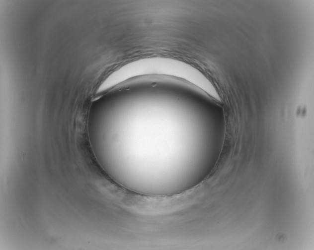 X0000090450037200708102059