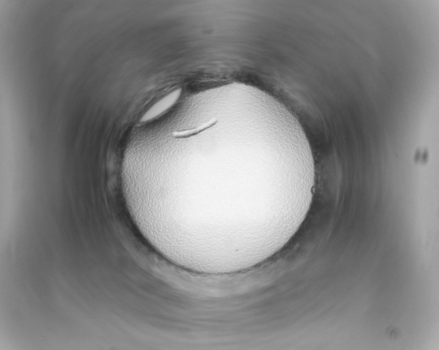 X0000090450038200708102059