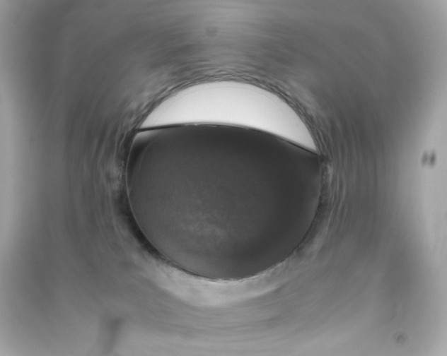 X0000090450039200708102059