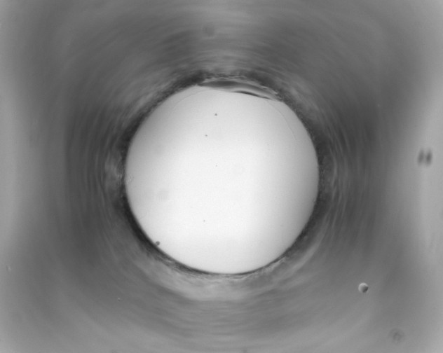 X0000090450040200708102059