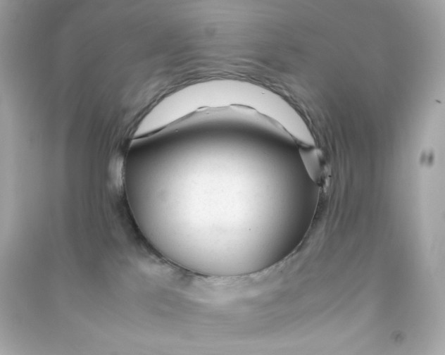 X0000090450041200708102059