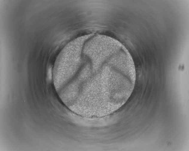 X0000090450042200708102059