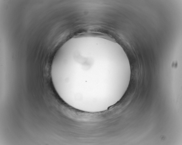 X0000090450044200708102059