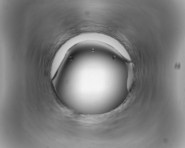 X0000090450045200708102059