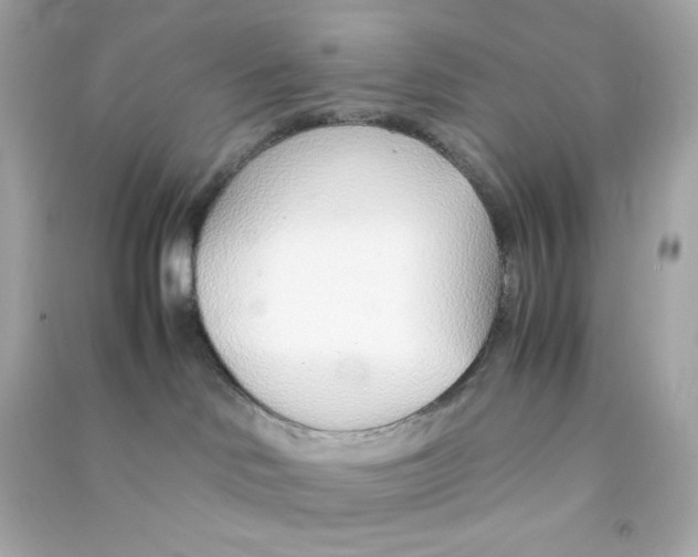 X0000090450046200708102059