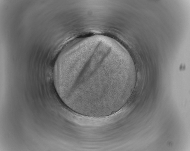 X0000090450048200708102059