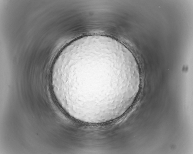 X0000090450049200708102058