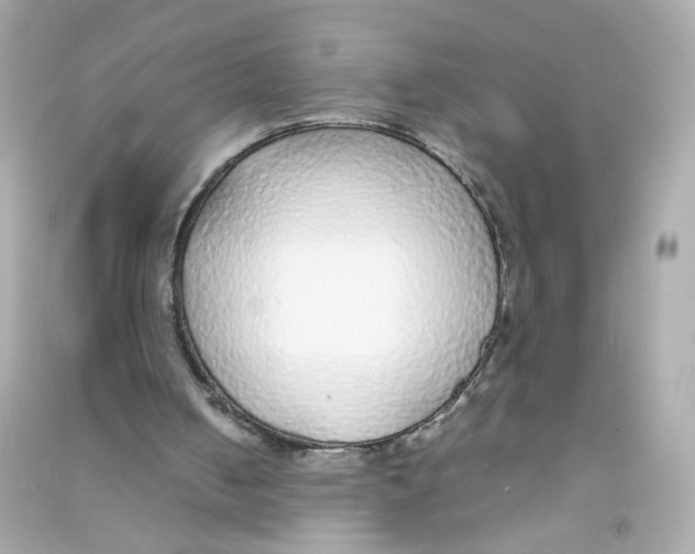 X0000090450050200708102058