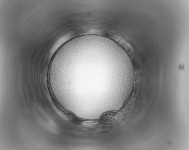 X0000090450051200708102058