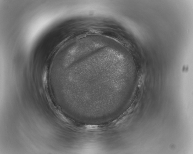 X0000090450052200708102058