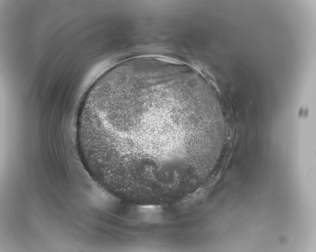 X0000090450053200708102058