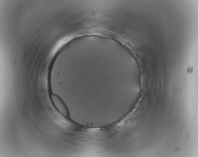 X0000090450054200708102058