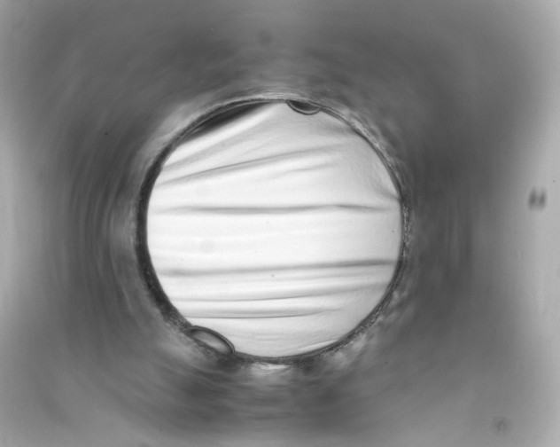 X0000090450055200708102058