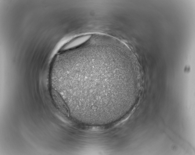 X0000090450056200708102058