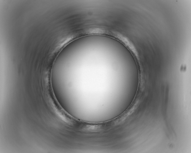 X0000090450057200708102058