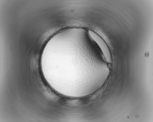 X0000090450058200708102058