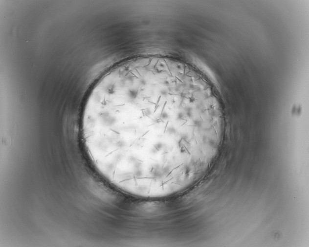 X0000090450059200708102058