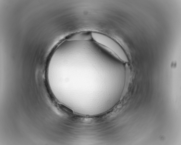 X0000090450060200708102058