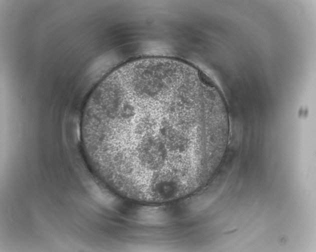 X0000090450061200708102058