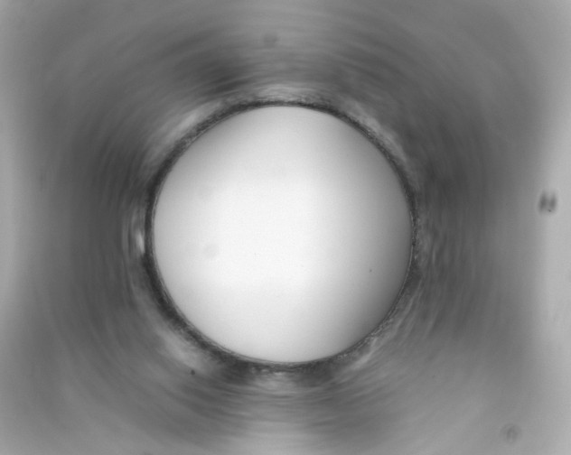 X0000090450062200708102058