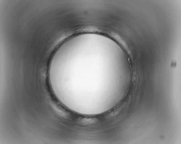 X0000090450063200708102058