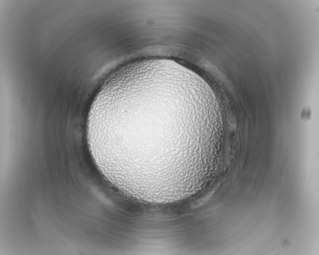 X0000090450064200708102058