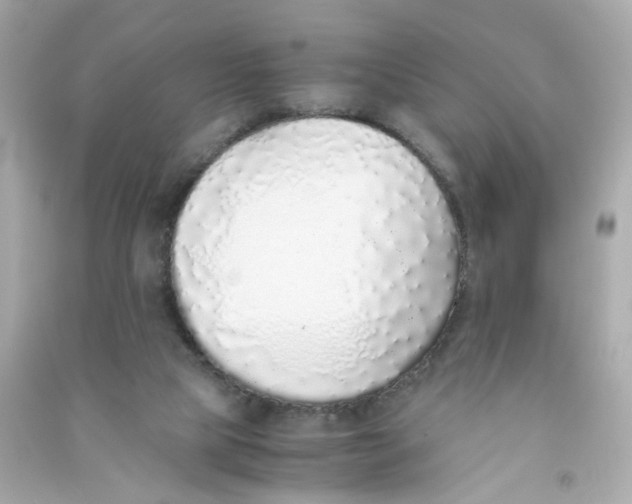 X0000090450065200708102058