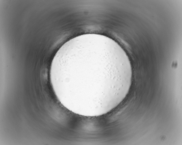 X0000090450067200708102058