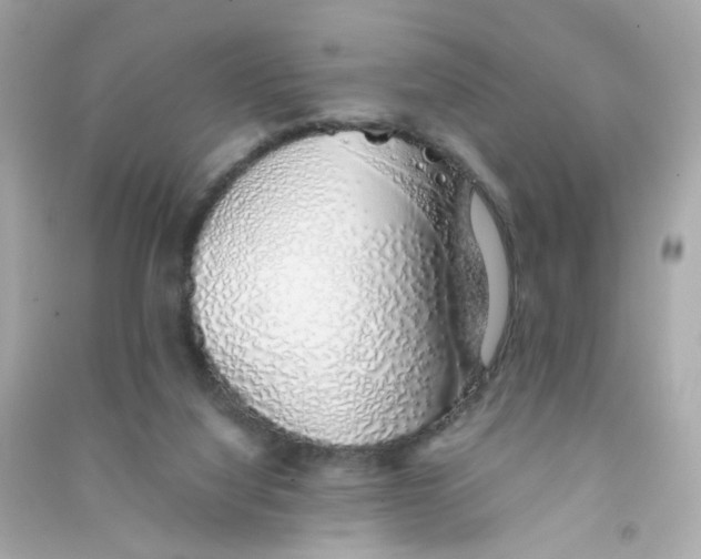 X0000090450068200708102058